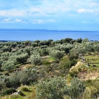 Business center in Greece, 200 sq.m.