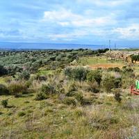 Business center in Greece, 200 sq.m.