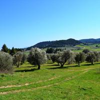 Land plot in Greece