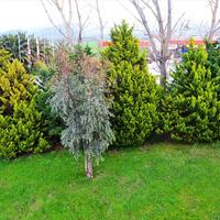 Бизнес-центр в Греции, 230 кв.м.