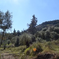 Land plot in Greece