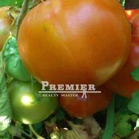 House in Bulgaria, Burgas Province, 84 sq.m.