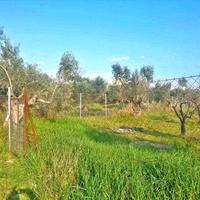 Land plot in Greece