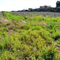 Land plot in Greece