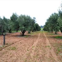 Земельный участок в Греции