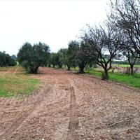 Земельный участок в Греции