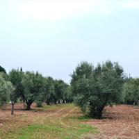 Земельный участок в Греции