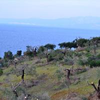 Земельный участок в Греции