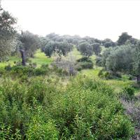 Земельный участок в Греции