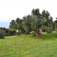 Земельный участок в Греции