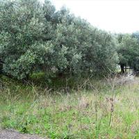 Земельный участок в Греции