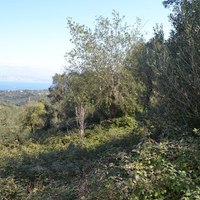 Земельный участок в Греции