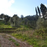 Land plot in Greece