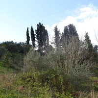 Land plot in Greece
