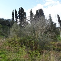 Land plot in Greece