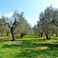 Другое в Греции, 125 кв.м.