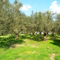 Другое в Греции, 125 кв.м.