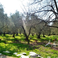 Другое в Греции, 125 кв.м.