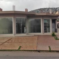 Business center in Greece, 250 sq.m.