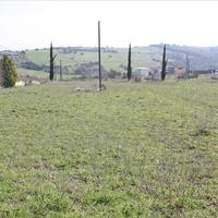 Land plot in Greece, 4000 sq.m.