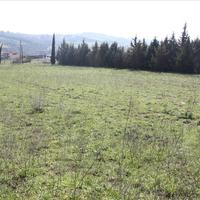 Land plot in Greece, 4000 sq.m.