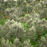 Бизнес-центр в Греции, 1700 кв.м.