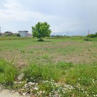 Land plot in Greece