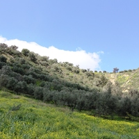 Земельный участок в Греции