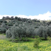 Земельный участок в Греции