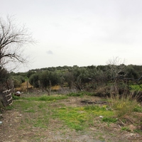 Land plot in Greece