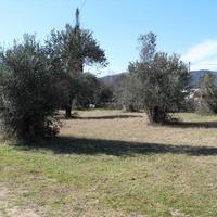 Land plot in Greece