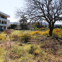 Бизнес-центр в Греции, 2000 кв.м.