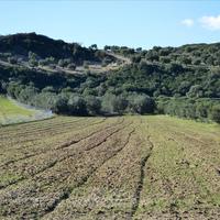 Land plot in Greece