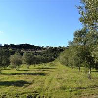 Land plot in Greece