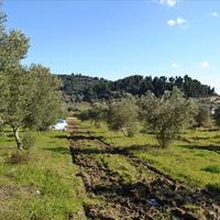 Land plot in Greece