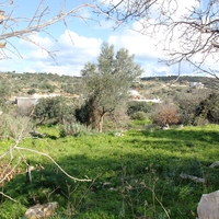 Land plot in Greece