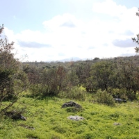 Земельный участок в Греции