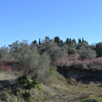 Land plot in Greece