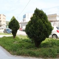 Business center in Greece, 420 sq.m.