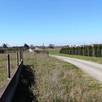 Land plot in Greece, 150 sq.m.