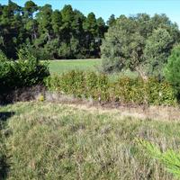 Другое в Греции, 165 кв.м.