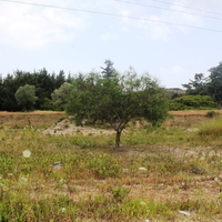 Land plot in Greece