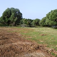 Land plot in Greece