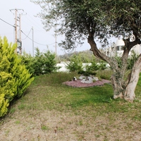 Другое в Греции, 207 кв.м.