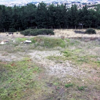 Land plot in Greece
