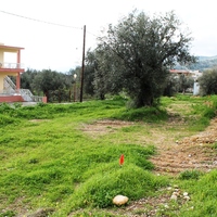 Land plot in Greece