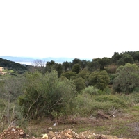 Land plot in Greece