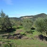 Land plot in Greece