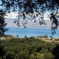 Land plot in Greece, 4800 sq.m.
