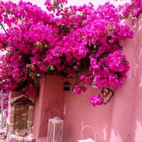 Hotel in Greece, 200 sq.m.